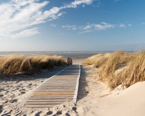 Weg zum Strand durch die Dünen auf Langeoog mit der Nordsee im Hintergrund.